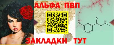 круглые Кингисепп