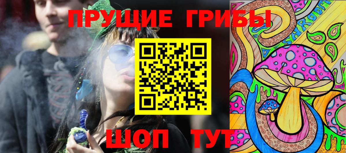 наркота  Вход с VPN  Новошахтинск  Псилоцибиновые грибы Psilocybe 