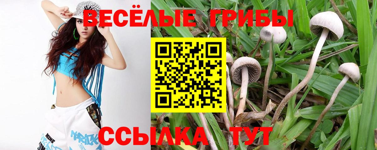 Галлюциногенные грибы Magic Shrooms Новошахтинск